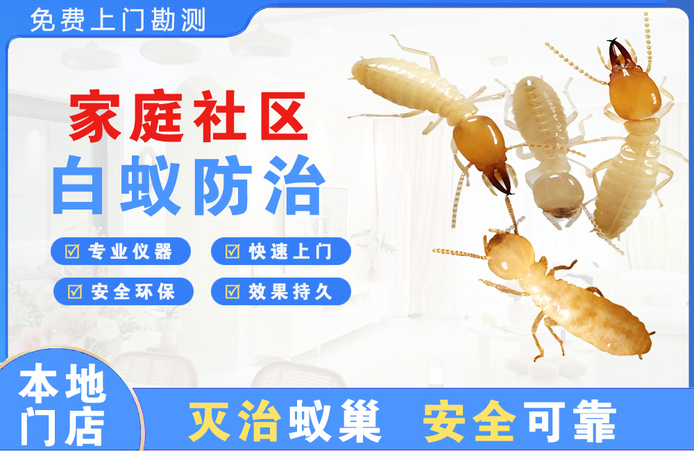 黄冈家庭社区白蚁防治
