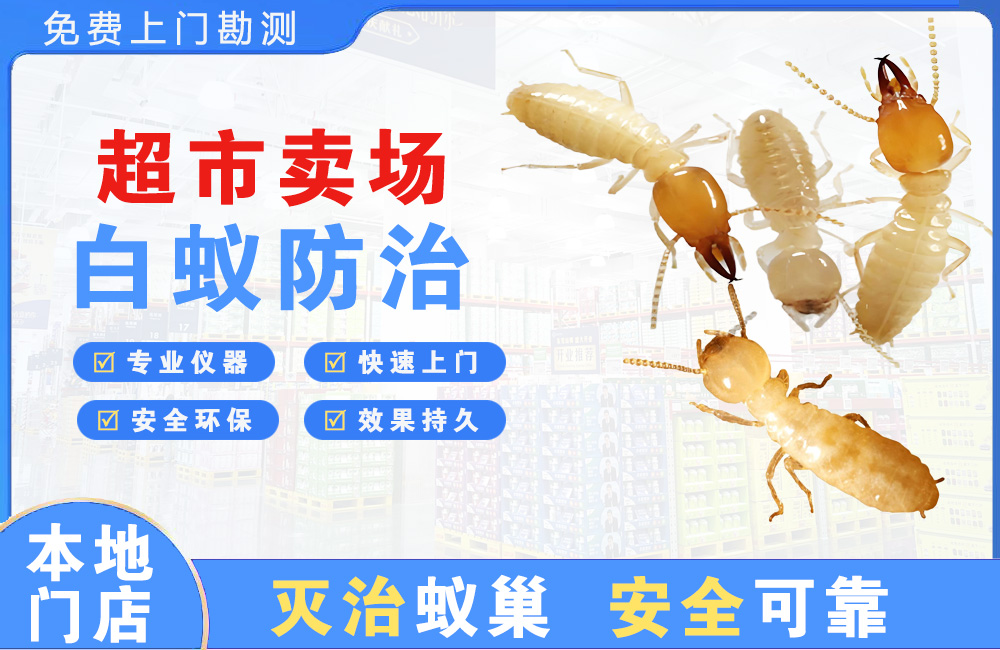黄冈超市卖场白蚁防治