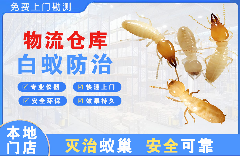 黄冈物流仓库白蚁防治