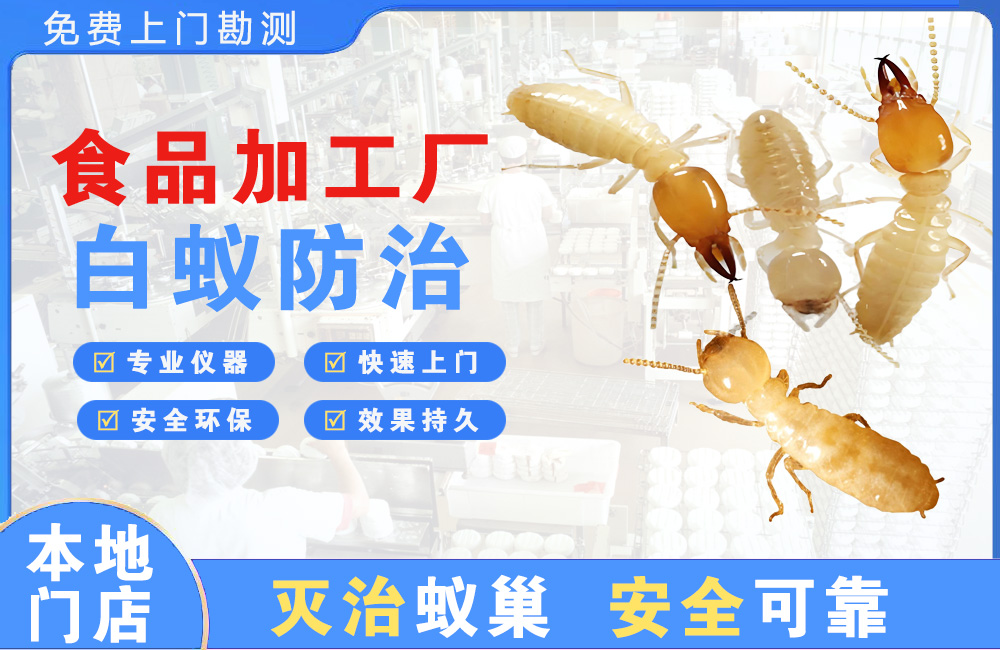 黄冈食品加工厂白蚁防治