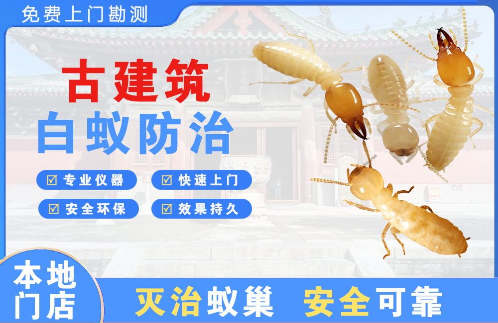 黄冈古建筑白蚁防治