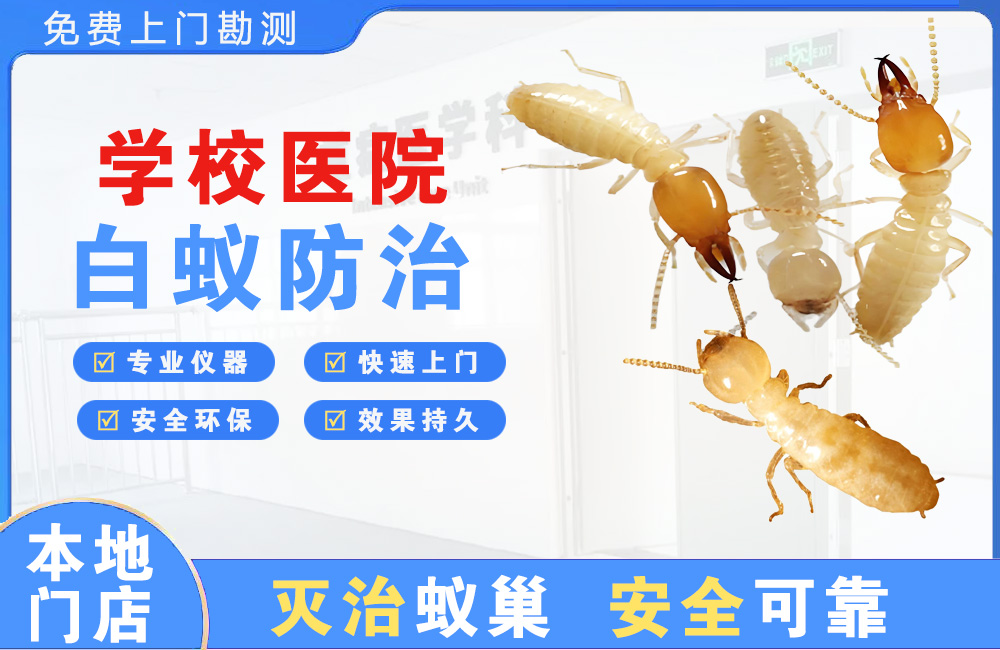 黄冈学校医院白蚁防治