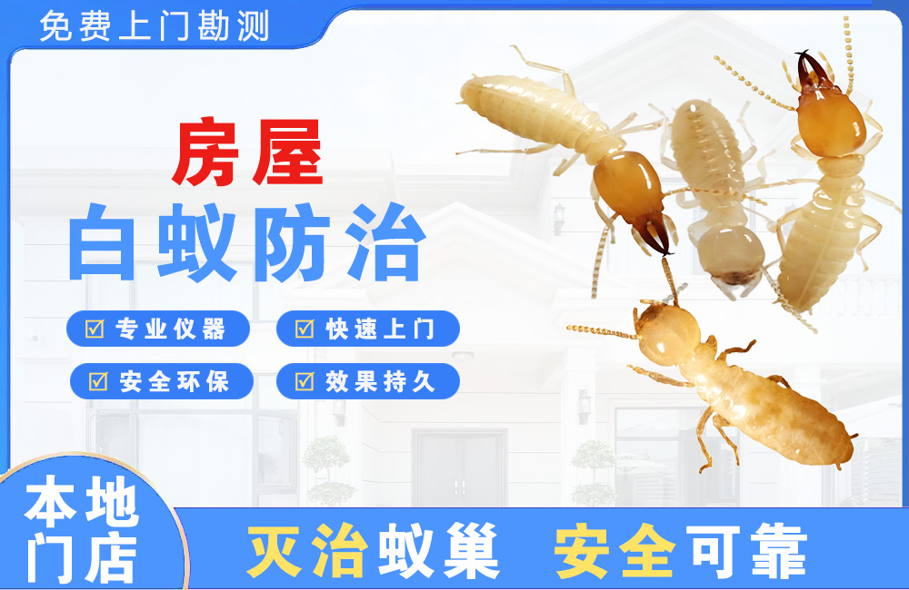 黄冈房屋白蚁防治