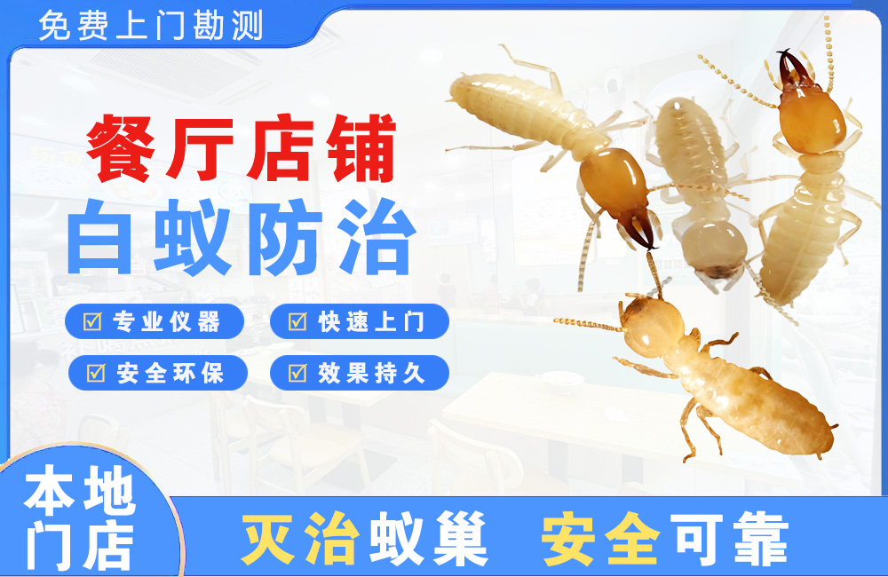 黄冈餐厅店铺白蚁防治
